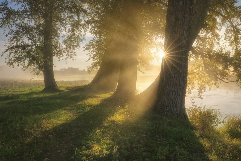 Прогулка среди великанов фото превью