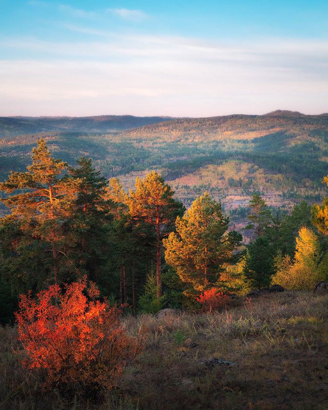 *** фото превью
