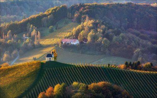 Осенний калейдоскоп