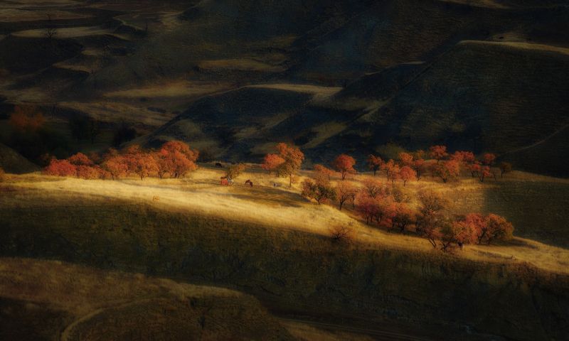 дагестан осень свет пейзаж деревья Солнечный луч фото превью