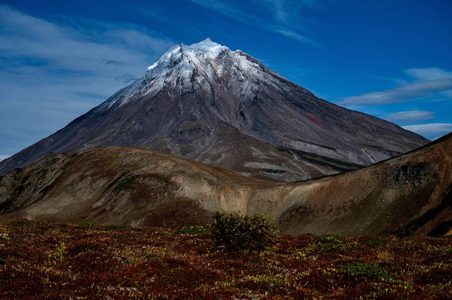 , Александр Мухин
