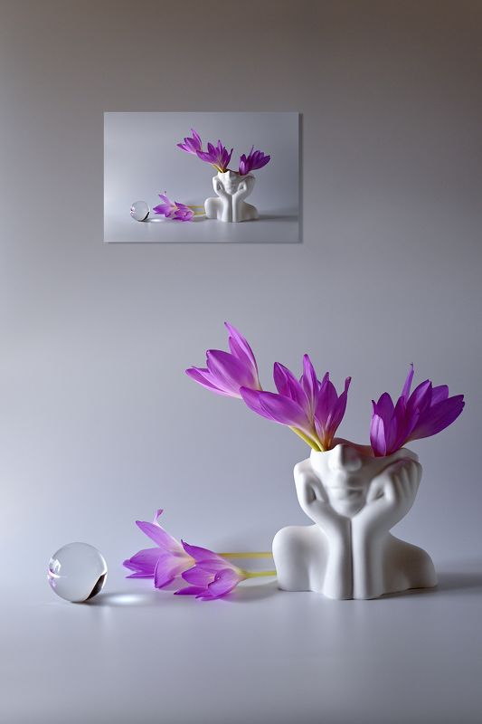 Дары безвременья фото превью