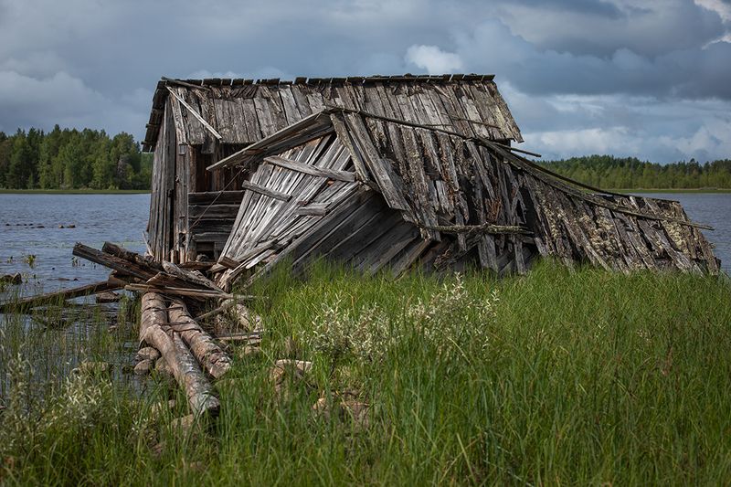 Карелия. Озеро Гимольское. 4 августа 2024. фото превью