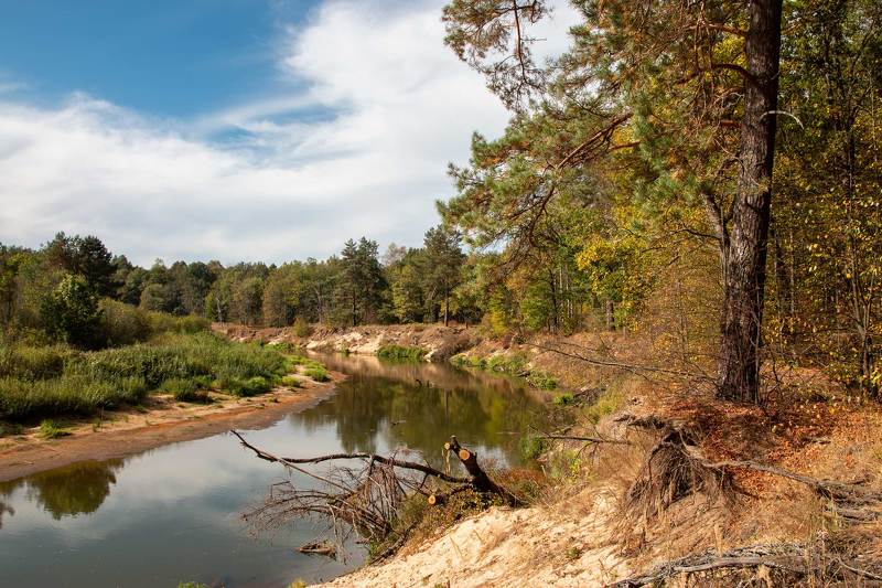 Песчаный берег фото превью