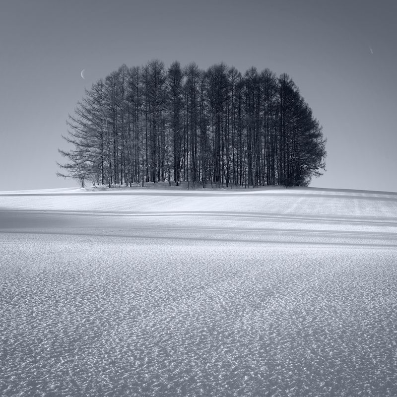 Minimalist winter landscapes of Hokkaido фото превью