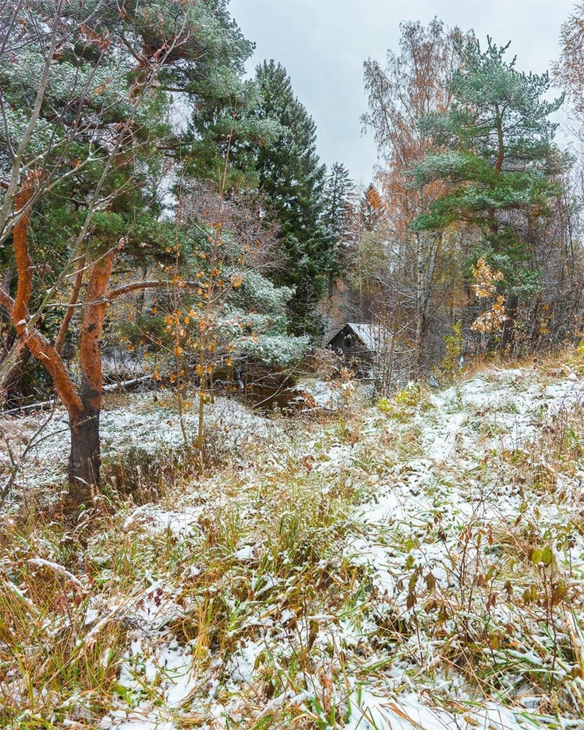 , Петр Косых