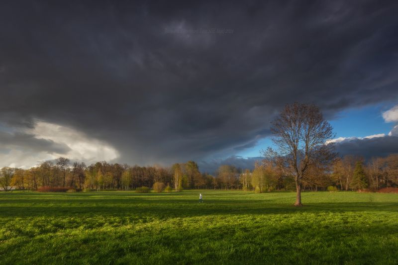 царское село, царское, landscape, tsarskoyeselo,  пейзаж, нижний, отдельный парк , нижний парк, спб,  tsarskoye selo Отдельный парк - смена погоды фото превью