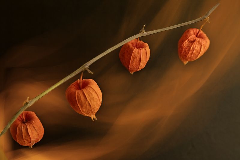 Осенние зарисовки фото превью