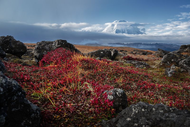 Камчатка. Толбачик. фото превью
