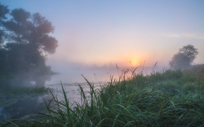 утро,река,туман,солнце,свет,отражение светает фото превью