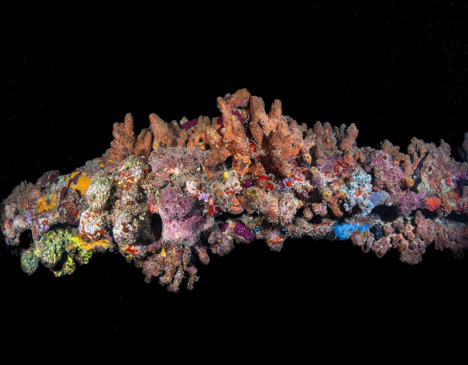 , Magali M&aacute;rquez