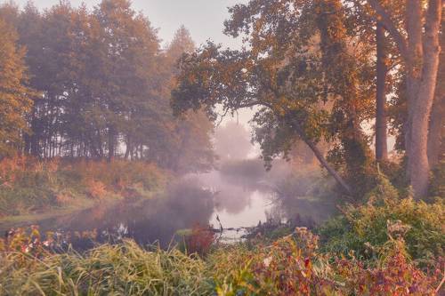 Тихое утро сентября