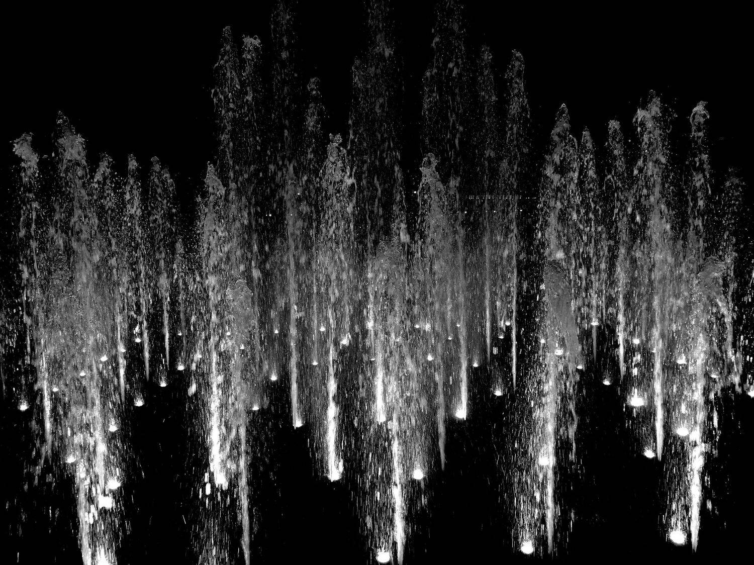 , Антон Лаба