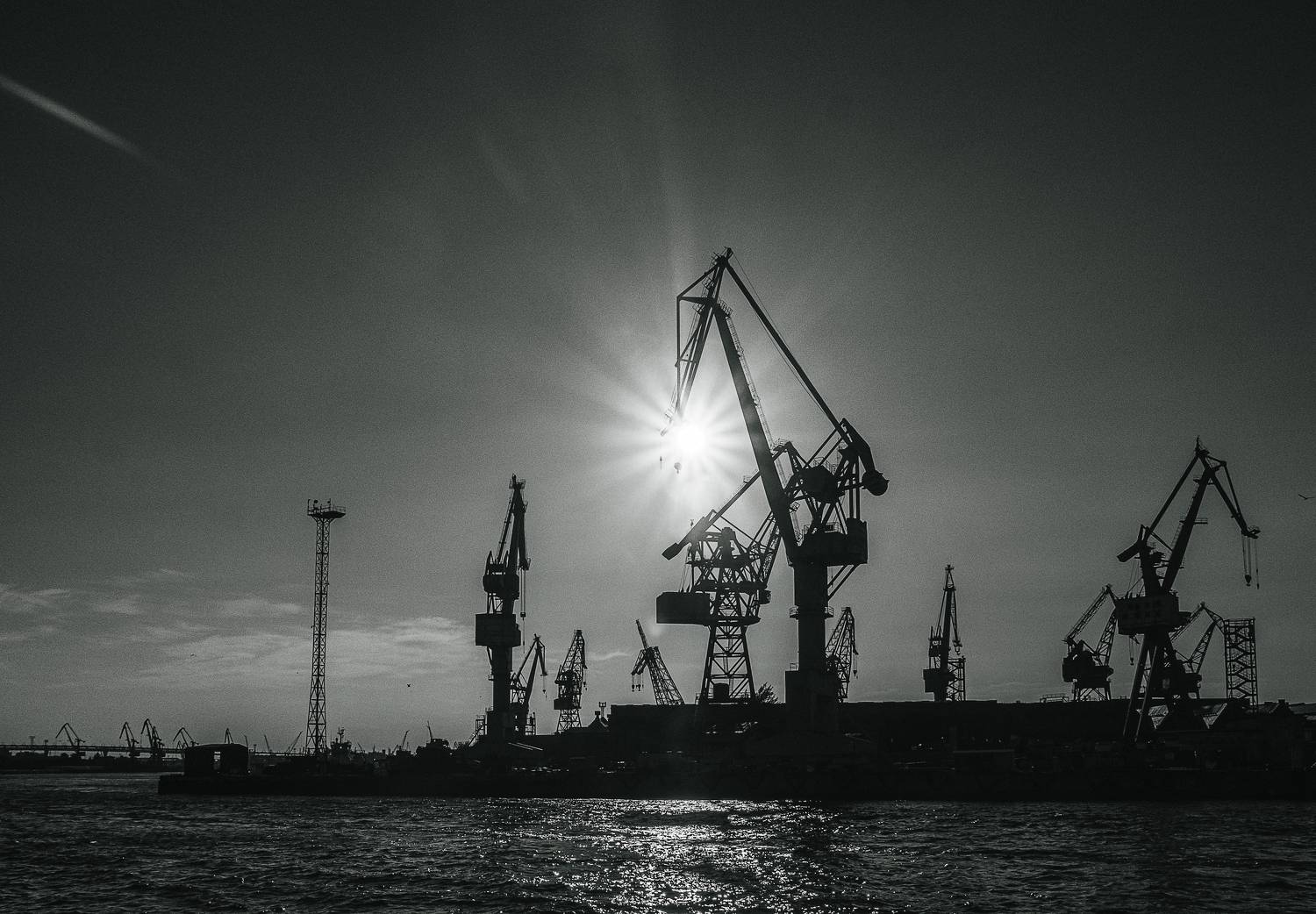 , Вавилова Елизавета