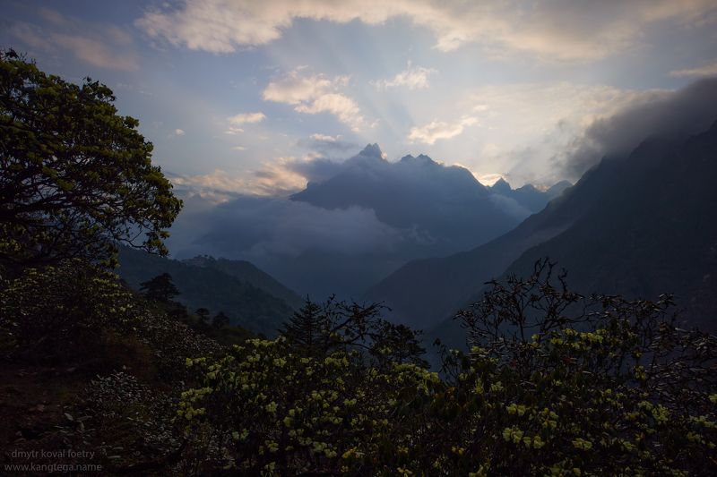 пейзажемагьё, пейзаж-как-виденье Таинство вечерних Гималаев … фото превью