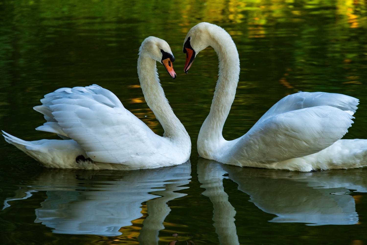 , Павел Ныриков