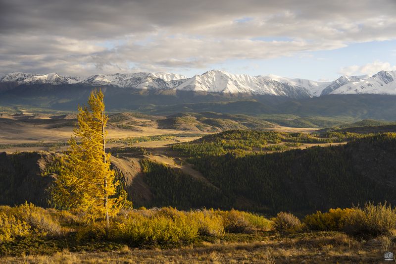 Осень пришла в Алтай фото превью