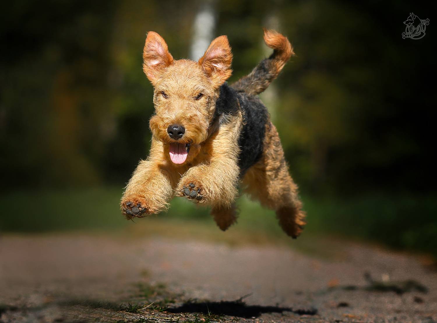 , Андрей Ершов