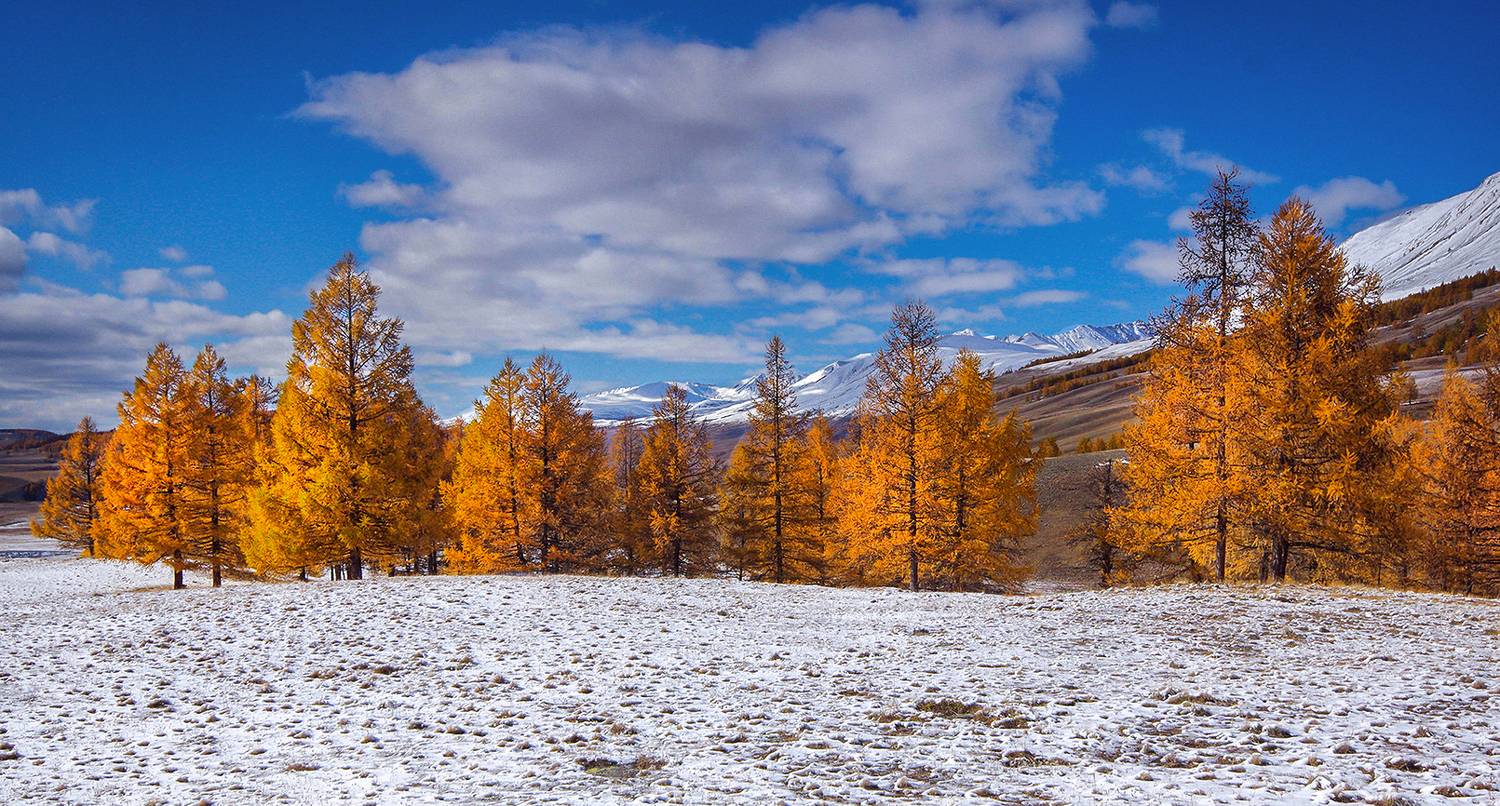 алтай, джазатор, осень, снег, горы, валерий чичкин, Чичкин Валерий