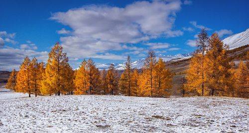 Поздняя осень