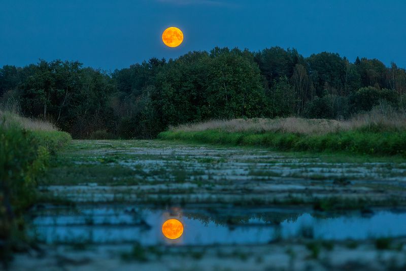 Сентябрьское полнолуние. фото превью
