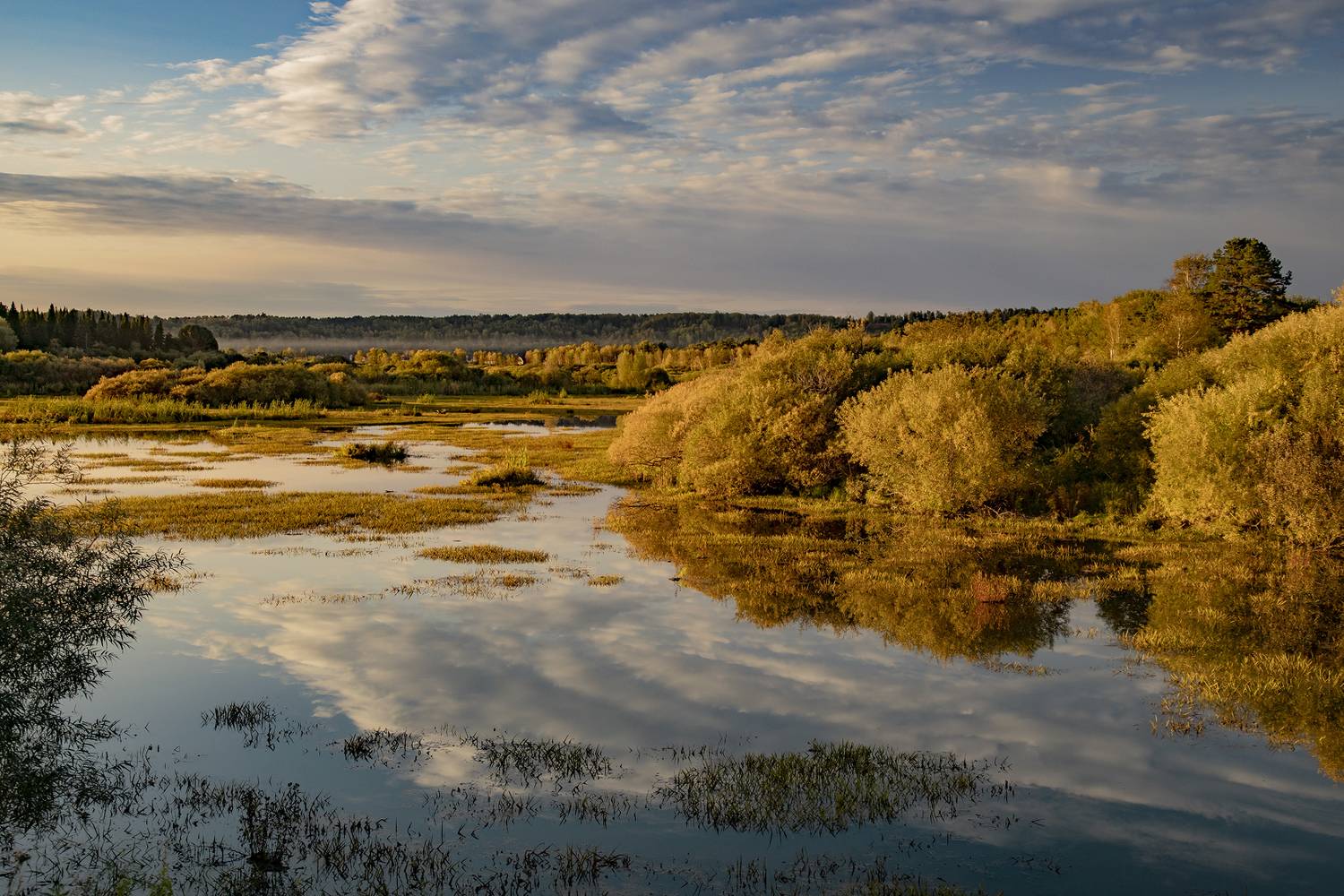 , Алексей Хахлов