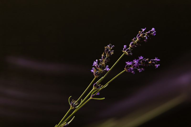Осенние зарисовки, 2 фото превью