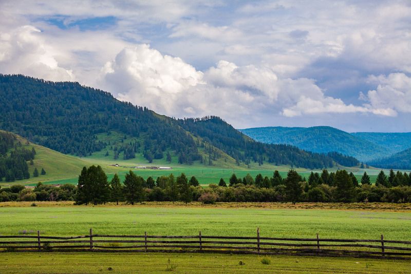 Алтайский простор фото превью