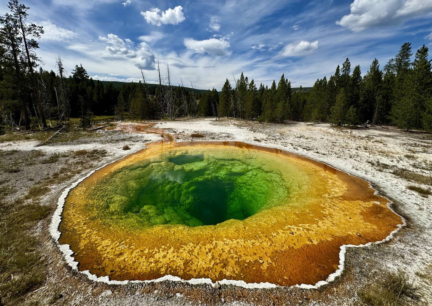 Landscapes, Morning Glory, colorful, USA, Yellowstone, nature, Pool, Wyoming, , Svetlana Povarova Ree