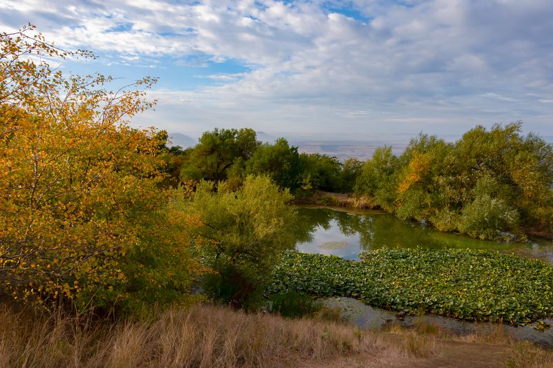 бештау,пейзаж,гора,кмв,озеро Утро на маленьком горном озере фото превью