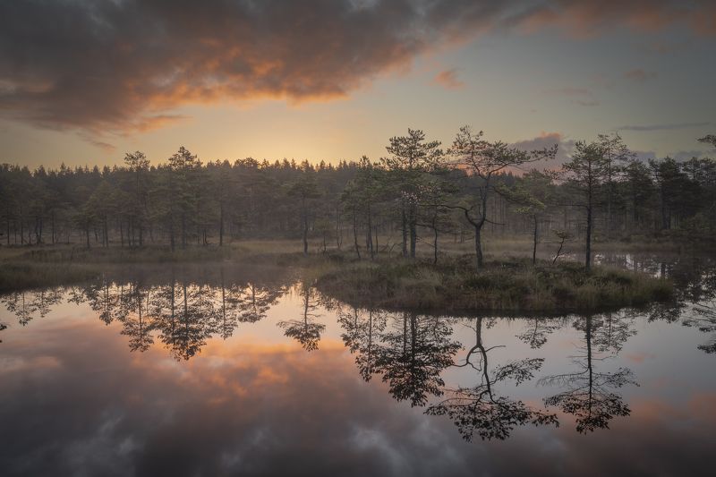 болота ленинградской области, рассвет, пейзаж Отражение фото превью