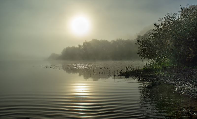 Утро. фото превью