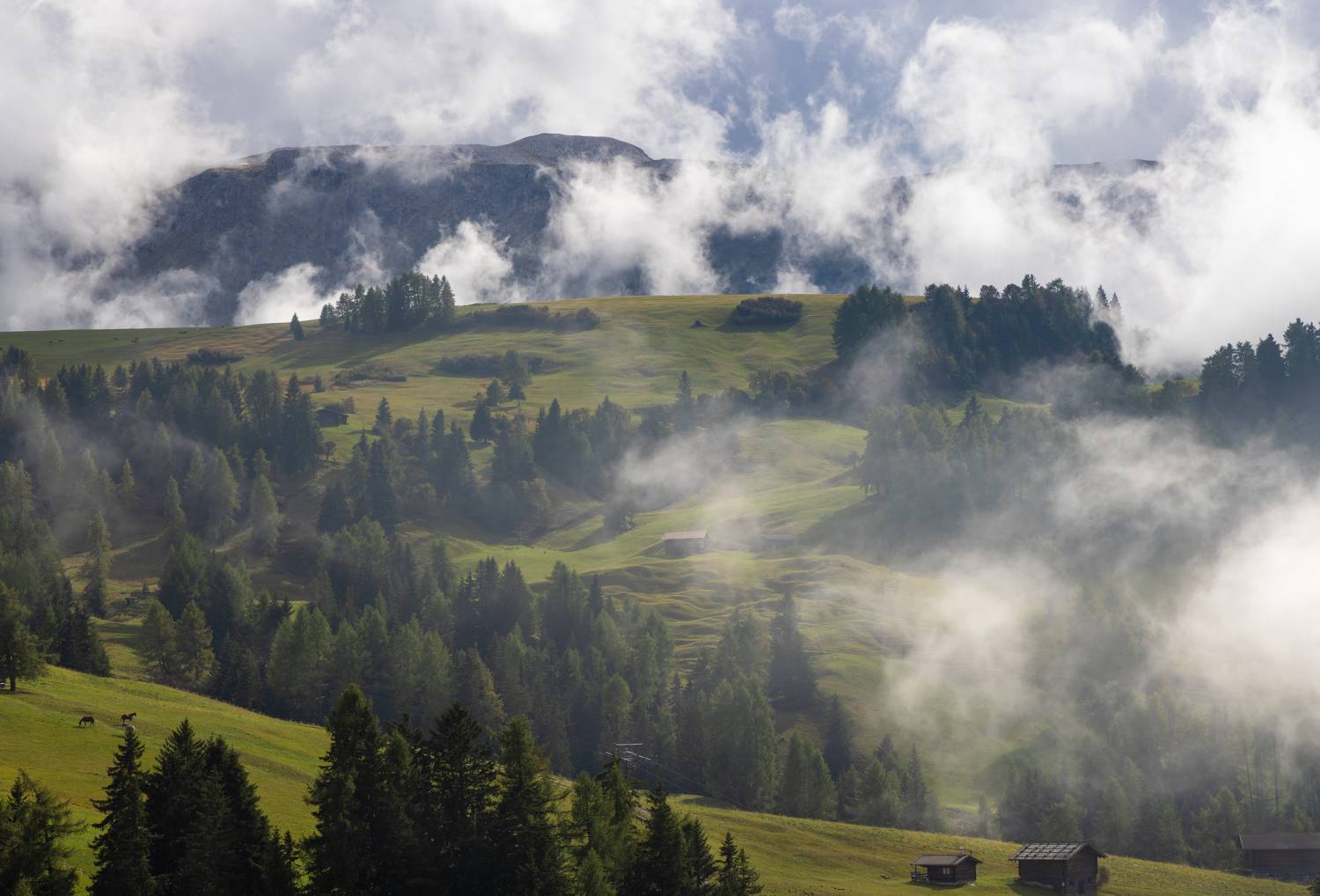 , Алекс Римский