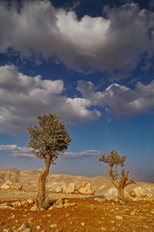 Samaria-Shomron (2011,Minolta-7D) фото превью