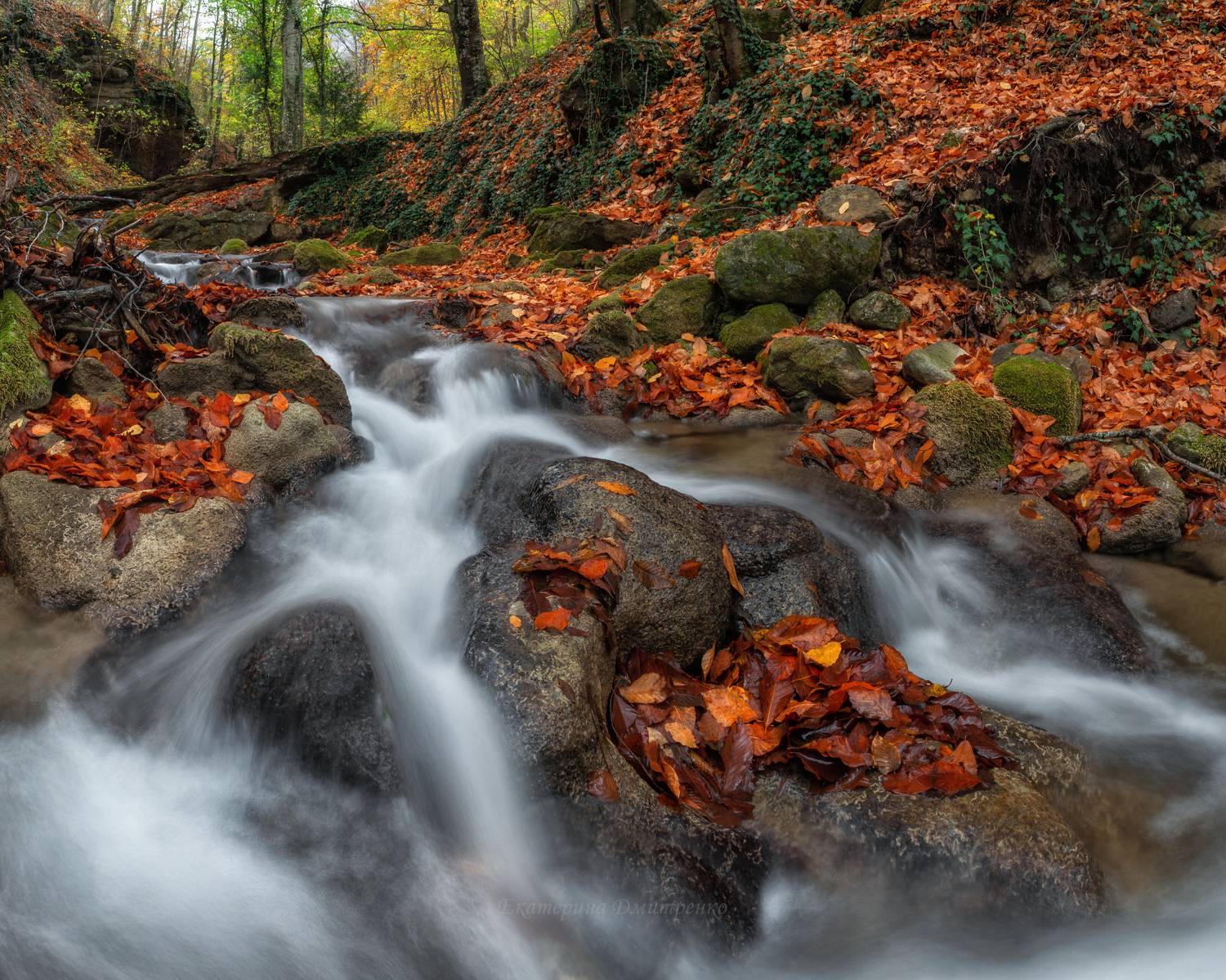 крым, осень, генеральское, пейзаж, река, джур-джур, алушта, пейзаж, crimea, landscape, Дмитренко Екатерина