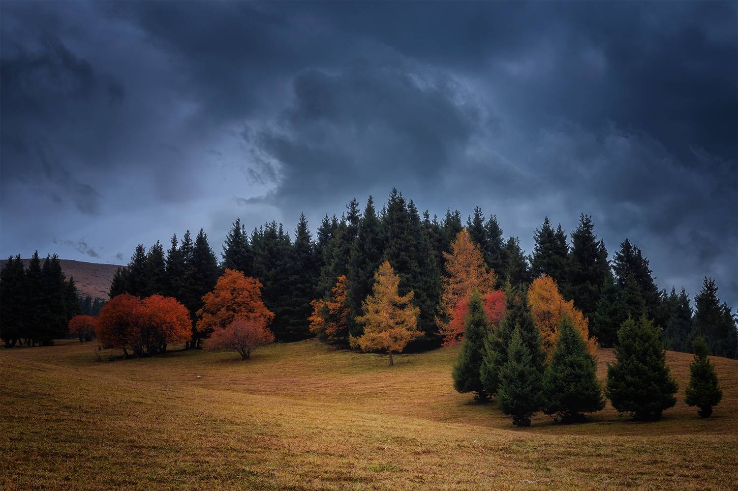 кыргызстан, ак-тюз, Элина Магалимова