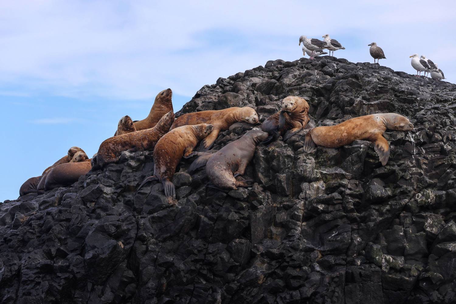 , Артем Удодов