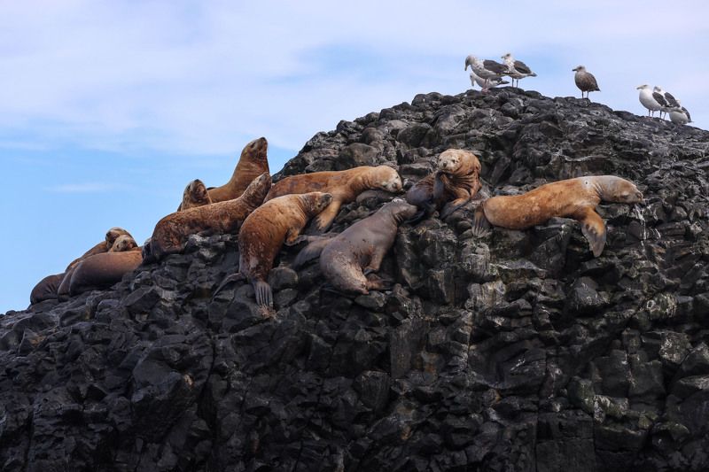 Сонное царство фото превью