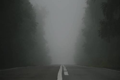Дорога и туман..