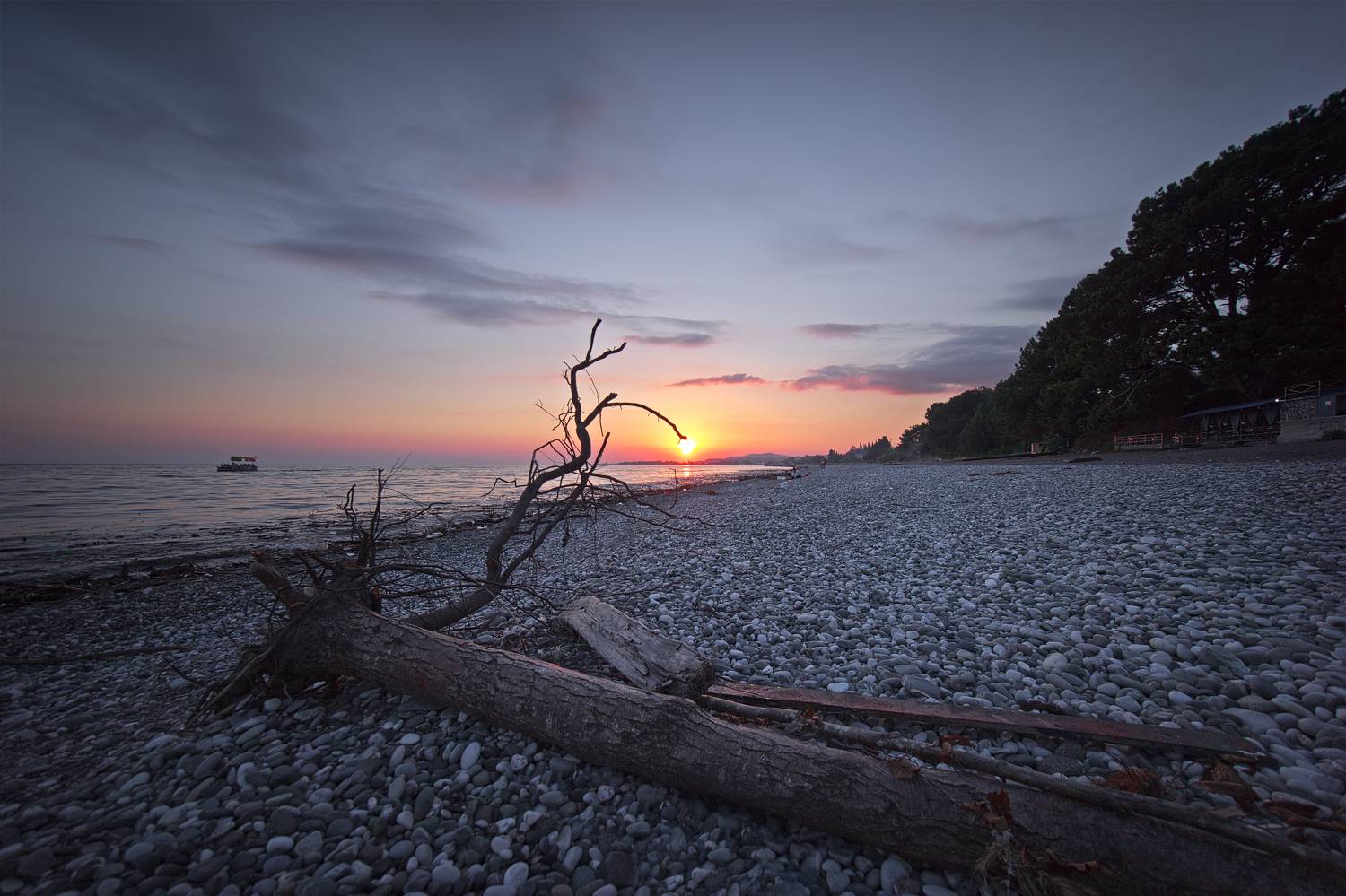 , Антон Габов