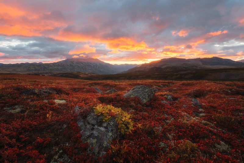 камчатка Камчатке в огне без вулканов фото превью