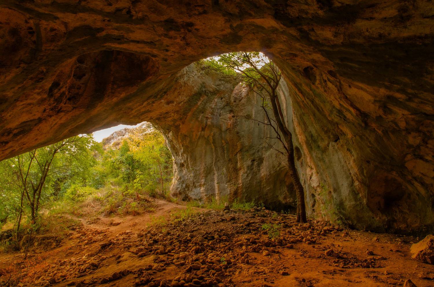 , Николов Андриян