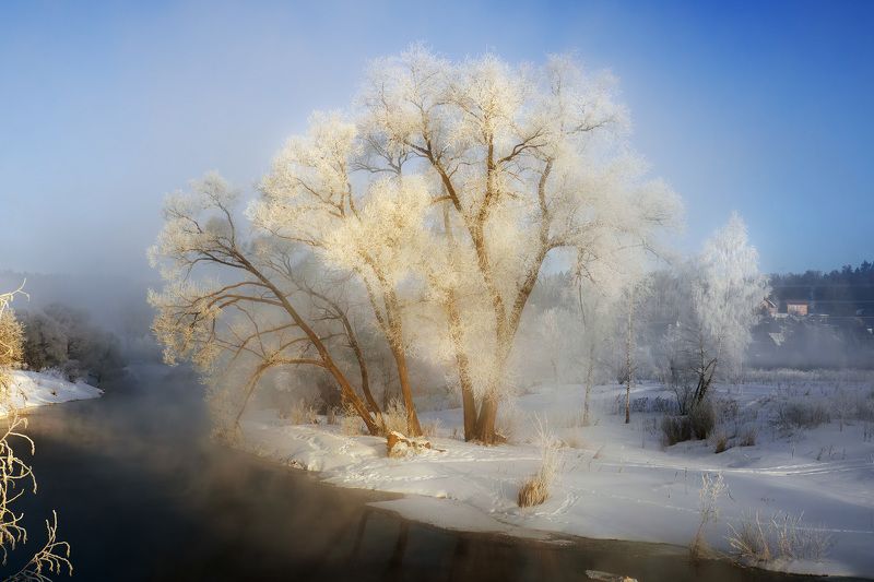 Прелесть морозного утра фото превью