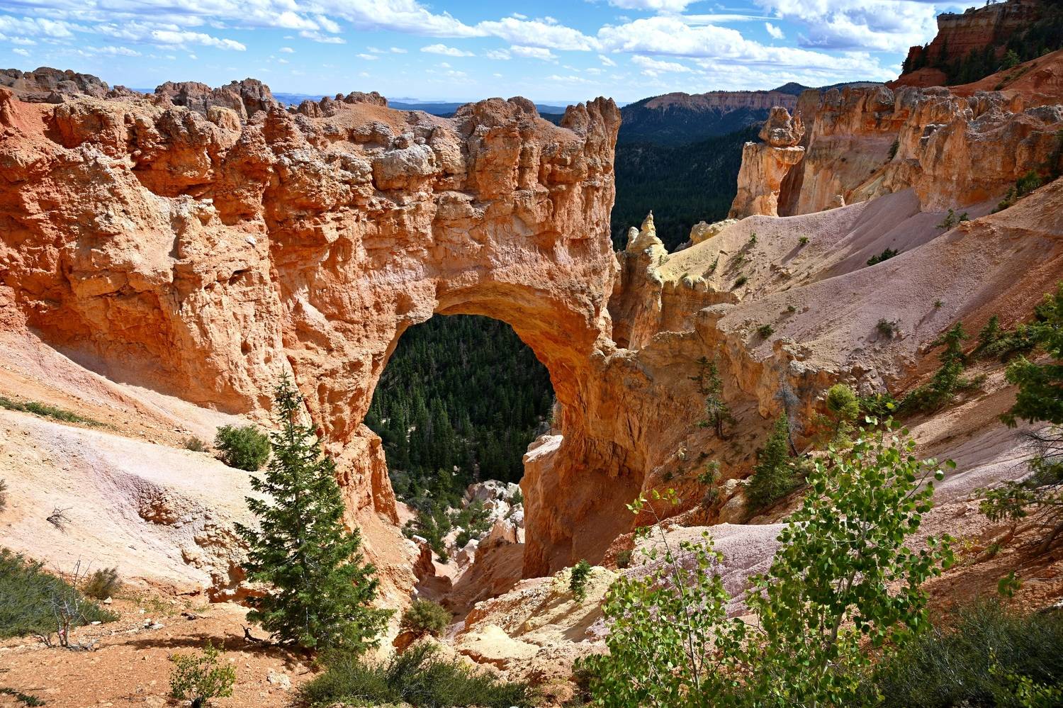 Landscapes, Natural Bridge, Bryce Canyon, USA, National Park, Stone, , Svetlana Povarova Ree