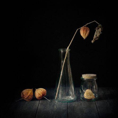Физалис.