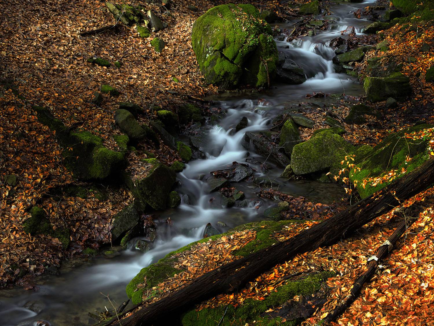 , Лукашук Евгений