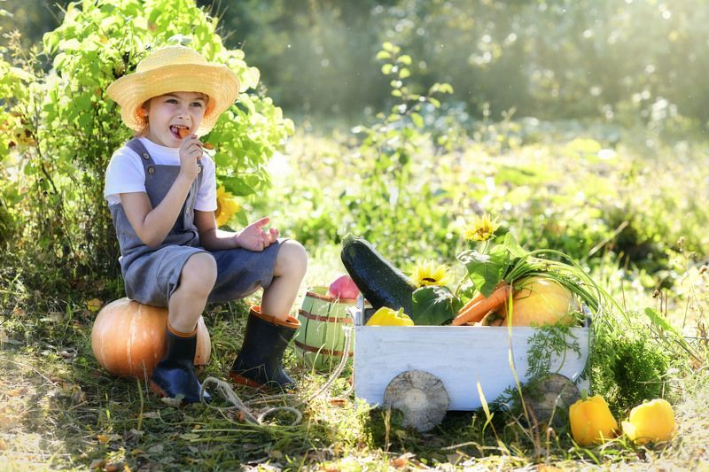 Перекус) фото превью