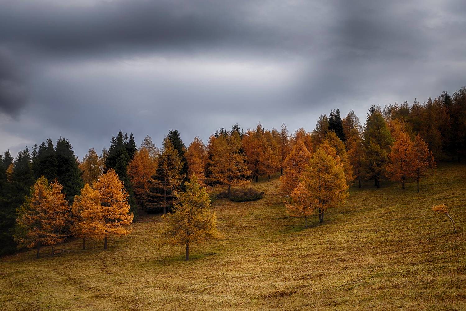 кыргызстан, ак-тюз, Элина Магалимова