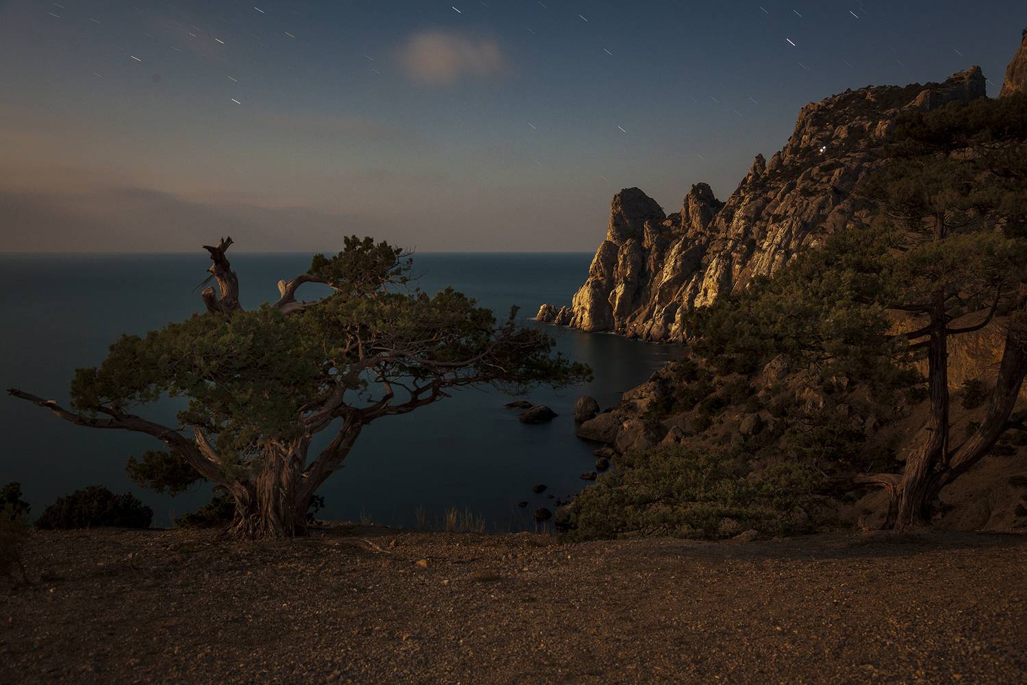 крым, новый свет, ночь, капчик, лунный свет, полнолуние, мыс, небо, звезды, море, пейзаж,, Сергей Шульга