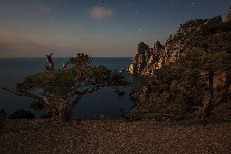 крым, новый свет, ночь, капчик, лунный свет, полнолуние, мыс, небо, звезды, море, пейзаж, В лунном свете. фото превью